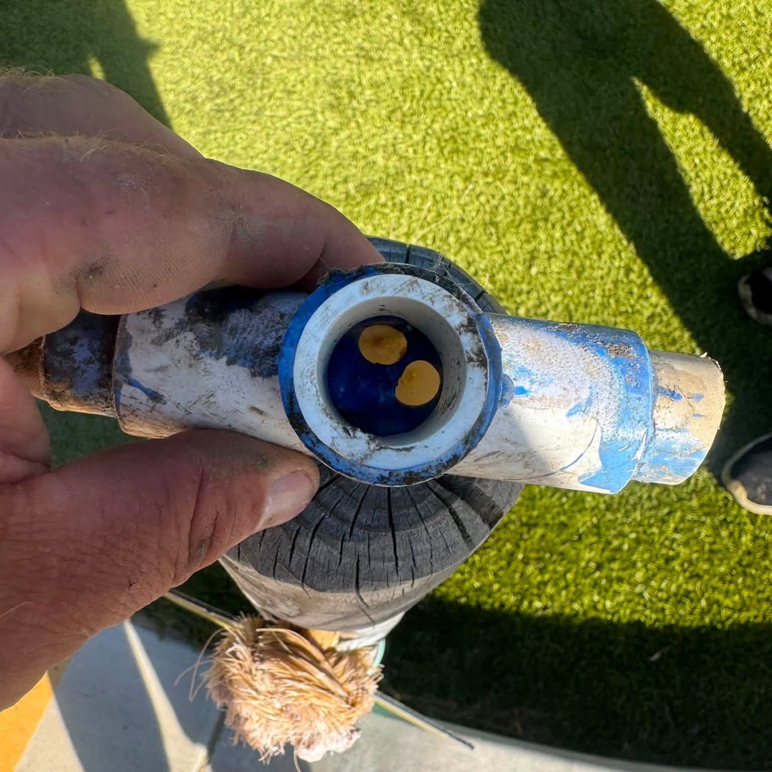 A PVC tee fitting held end on, with fresh blue solvent cement in the socket