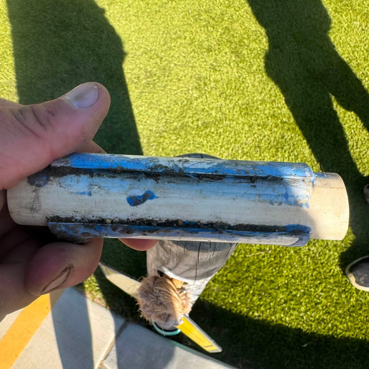 A section of drip irrigation pipe cut open lengthways, showing grit and organic buildup packed inside